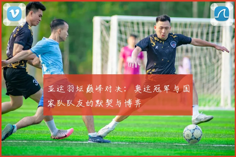 亚运羽坛巅峰对决：奥运冠军与国家队队友的默契与博弈