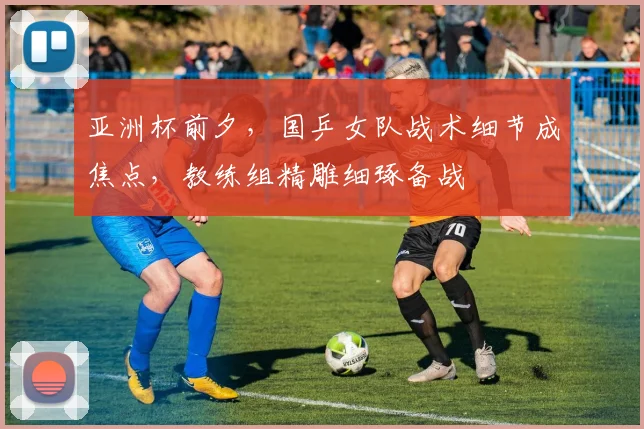 亚洲杯前夕，国乒女队战术细节成焦点，教练组精雕细琢备战